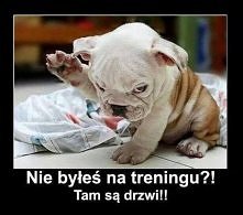 Spokojnie, jeszcze zdążysz pójść :)