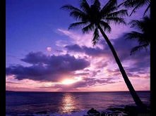 Reflekt Vs Medina - You &amp; I Need To Feel Loved (Paul George ASOT 450 Comp Intro Bootleg)