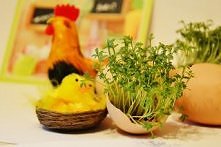 Uwaga! Pamiętajmy, że rzeżu...