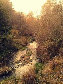 Zapraszam na mój profil <3