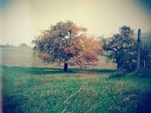 doceń to co Cię otacza :D