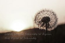 Lepiej Stracić Sekundę W Ży...