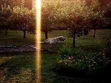 moje dzieło... :)... co o tym myślicie:)??