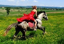 ... w wolnym czasie ...