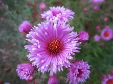 Jesienne popołudnie :)