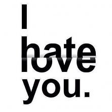 hate or love?