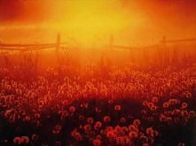 Myslovitz- Wieża melancholii