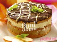 przekładaniec z masą jabłkową i budyniową ^^