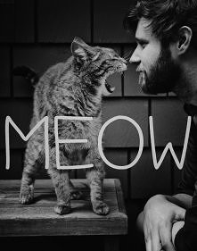 meow