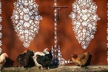 Zalipie jest wypełnione przez malowane kwiaty.