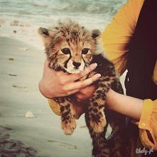 How sweet <33