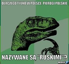 właśnie