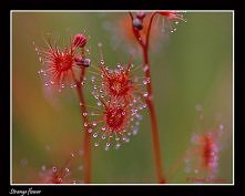 cudowne zdjęcie Daniela Montero