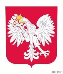 Po marszu niepodległości