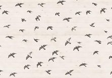 zapraszam na mojego tumblr'a  :)