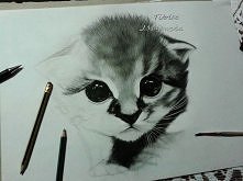 W trakcie realizacji ;] ołówki i czarna farbka