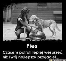 pies to najlepszy przyjaciel:)