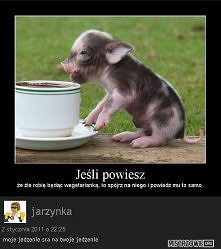 Pewnie lubicie wieprzowinę ale gdy patrzysz na takiego słodkiego warchlaka uśmiechasz się z rozkoszą...
 A gdyby sprzedawali w sklepach mięsnych takie młode żywe,świnki( nie wie...