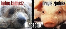 Dlaczego?