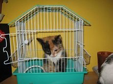 Zosia -znalazła sobie domek <3