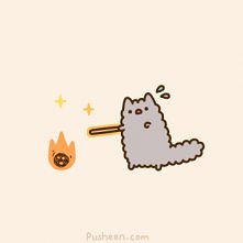 Pusheen :)