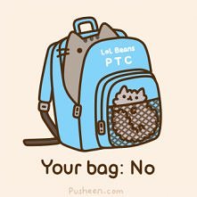Pusheen :)