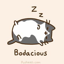 Pusheen :)