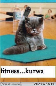 Cat knows that's good :)