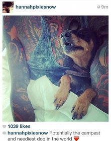 slodki widok. Oliver Sykes ...