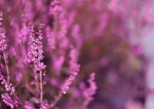 takie moje dzieło : )