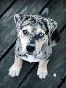 Czy te oczy mogą kłamać.