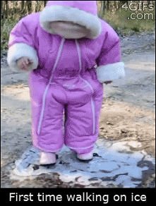 Gif - pierwszy raz na lodzie