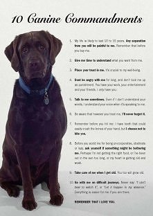 Love this10 Canine Commandments - all very, very true!