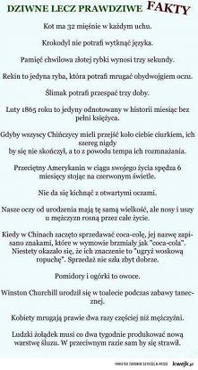 Hmmmm...interesujące.