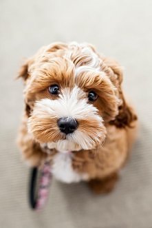 ♥♥♥