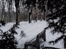 Pada śnieg, pada śnieg..