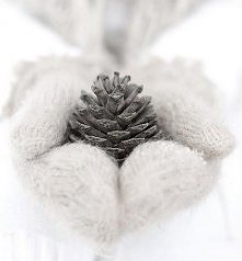 szyszka dla Ciebie :)