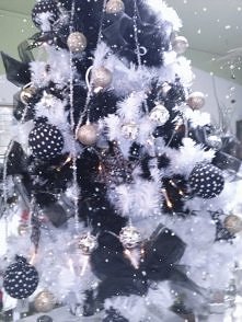 zima 2013 w kwiaciarni Wena