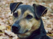 Bary... 
kliknij na zdjęcie