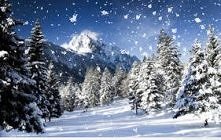 Śnieg ^-^ Ciekawe czy w te ...