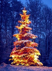 Święta, Święta :)