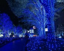 W tym roku święta bez śnieg...