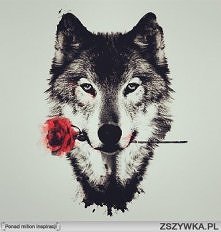 Jak pięknie!Nie sądzicie??