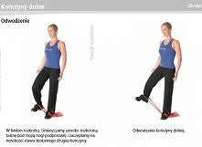 Cwiczenia z tasma Thera-band - kliknij w obrazek