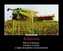 Rób to co kochasz, kochaj to co robisz, a nigdy nie będziesz musiał pracować :)