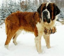 Jak ja je uwielbiam ;]