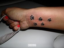 Podobają się takie łapki ?? :3