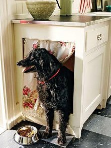 Dla psa też się znajdzie za...