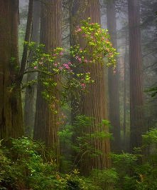 Marc Adamus - mój fotografi...