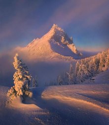 Marc Adamus